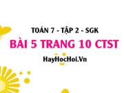 Bài 5 trang 10 Toán 7 Tập 2 Chân trời sáng tạo